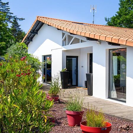 Landescape Ocean, Lacs Et Foret. Biscarrosse Exterior foto